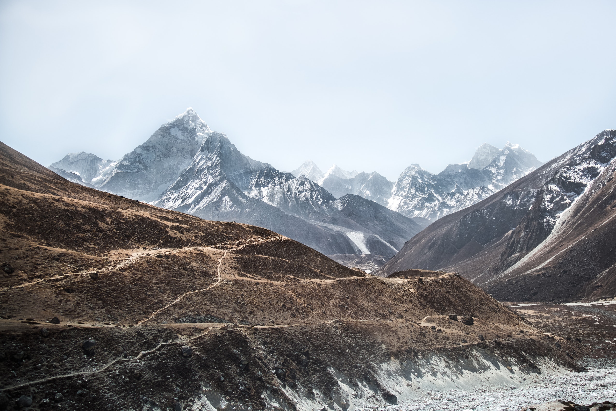 NEW! Virtual stair climbing challenge: Mount Everest or bust