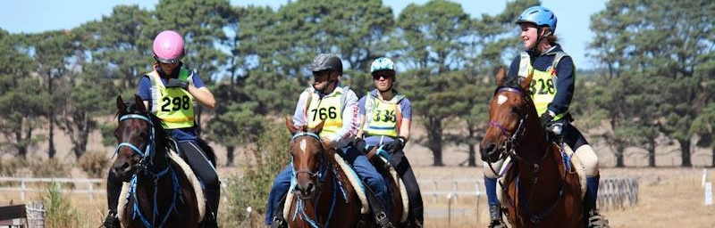 Members of Australia's Victorian Endurance Riders' Association in an earlier, non virtual race. 